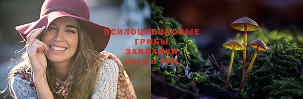 COCAINE Богородск