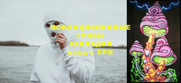 ПСИЛОЦИБИНОВЫЕ ГРИБЫ Богданович