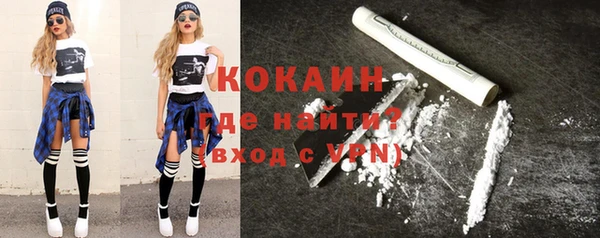 ПСИЛОЦИБИНОВЫЕ ГРИБЫ Богданович