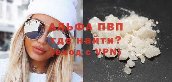 ПСИЛОЦИБИНОВЫЕ ГРИБЫ Богданович