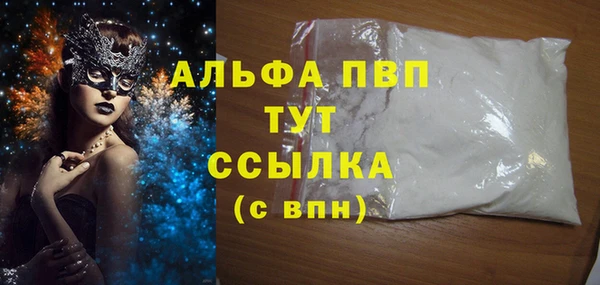 ПСИЛОЦИБИНОВЫЕ ГРИБЫ Богданович