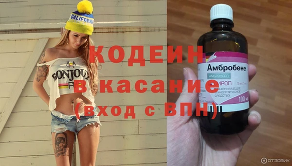 ПСИЛОЦИБИНОВЫЕ ГРИБЫ Богданович