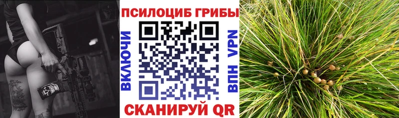 наркота  Донецк  Псилоцибиновые грибы MAGIC MUSHROOMS 